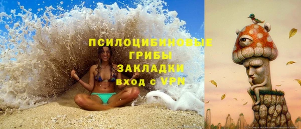 ешки Мегион
